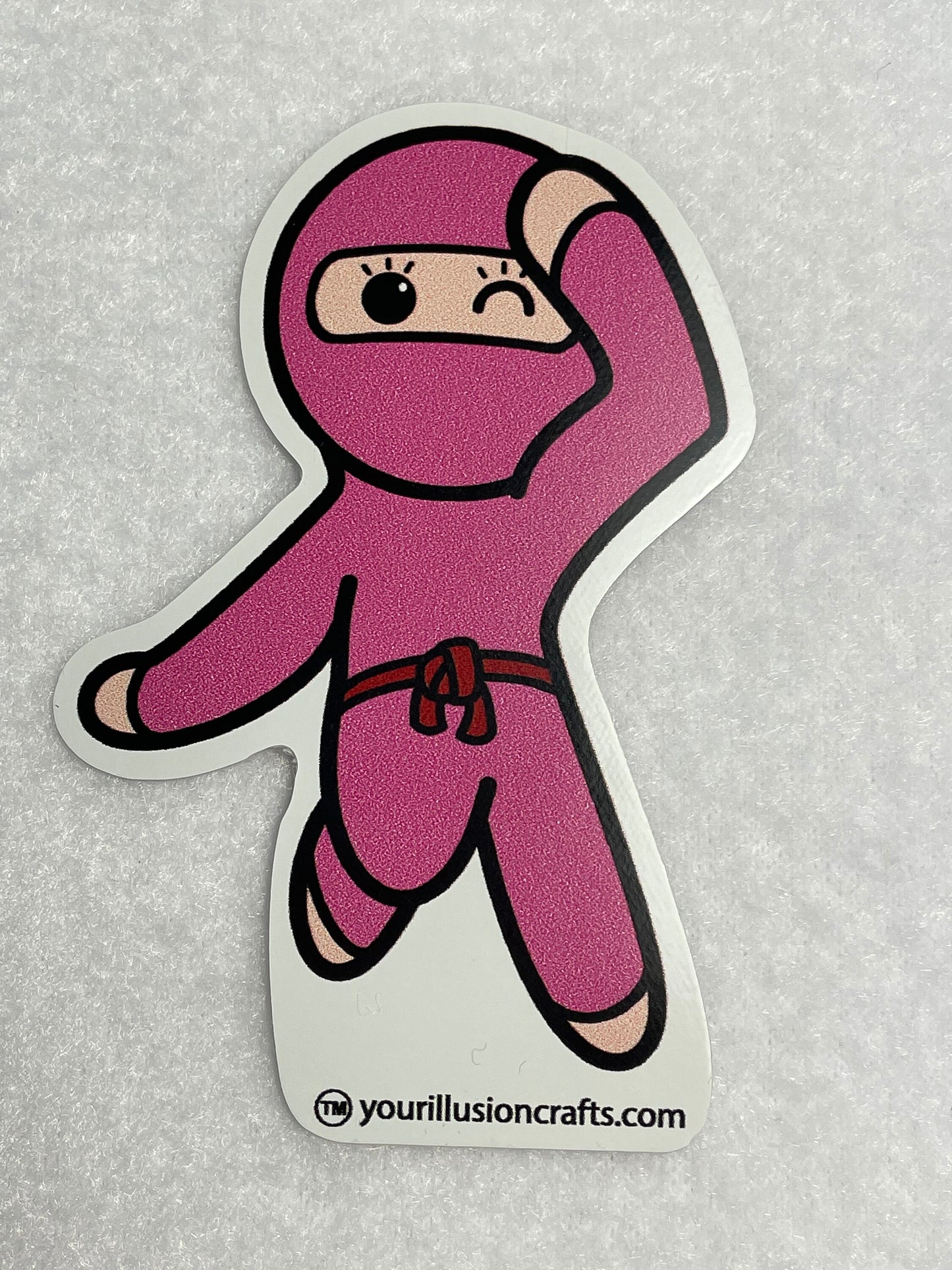 Ninja Buddiez Sticker Set